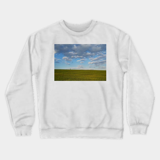 walking a green wheat field Crewneck Sweatshirt by psychoshadow